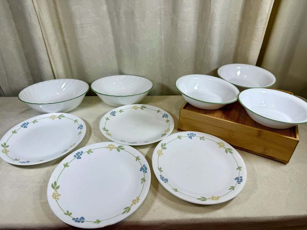 Corelle Secret Garden Vitrelle Dinnerware Set of Plates and Bowls